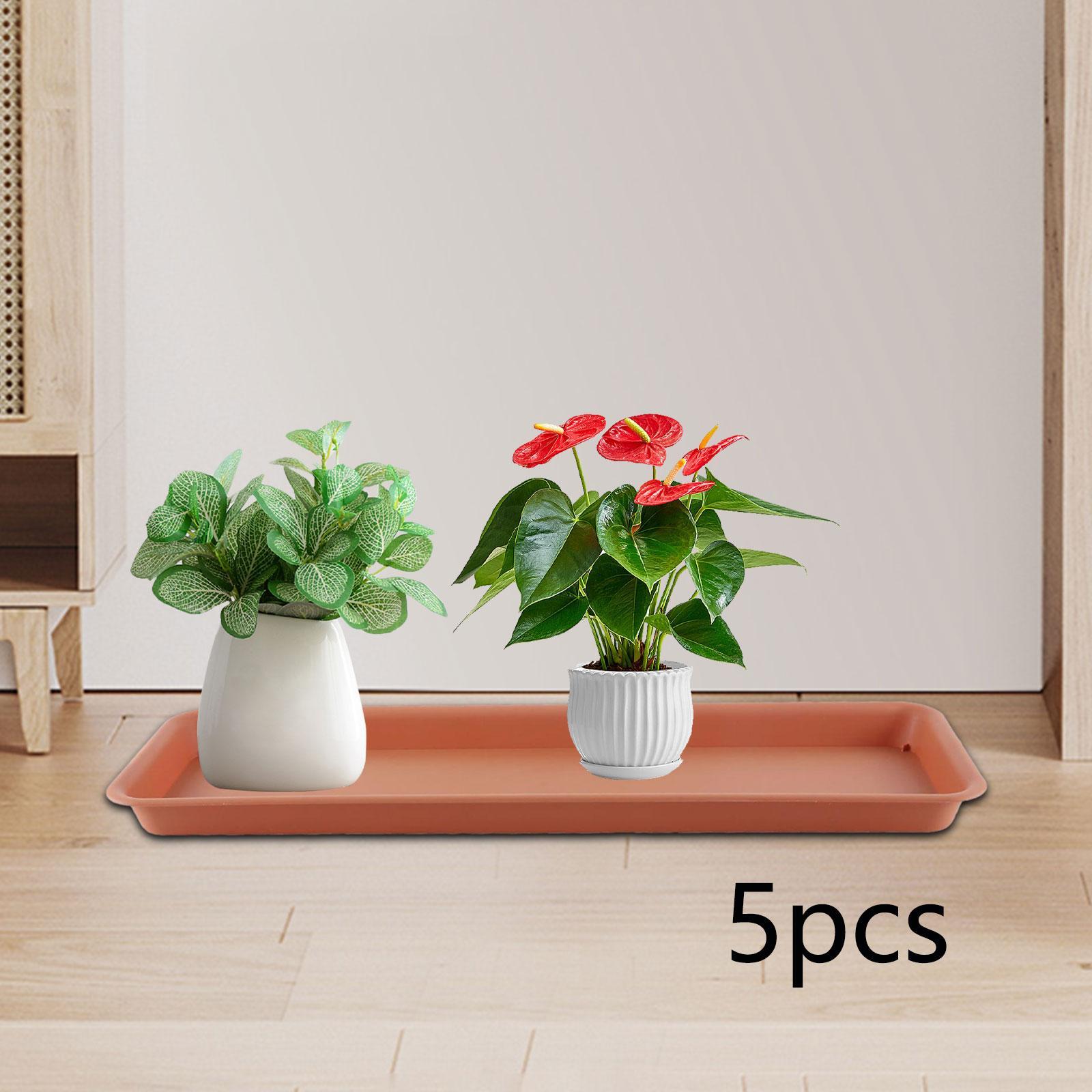 High Flower Pot for the Terrac - Drip Tray Saucer review and price