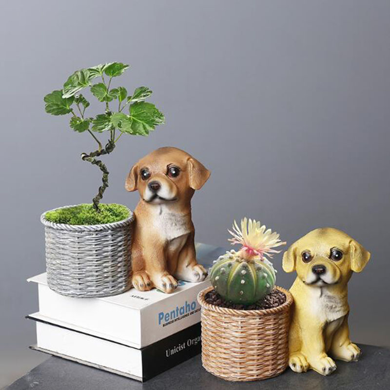 Household Living Room Office R - Bonsai Garden Art review and price