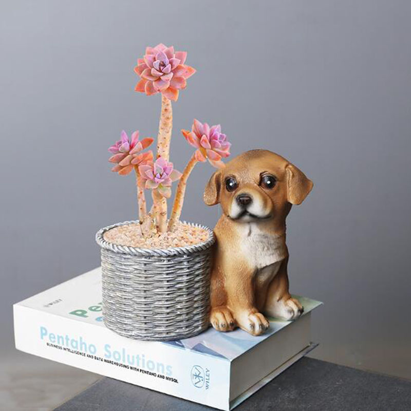 Household Living Room Office R - Bonsai Garden Art review and price