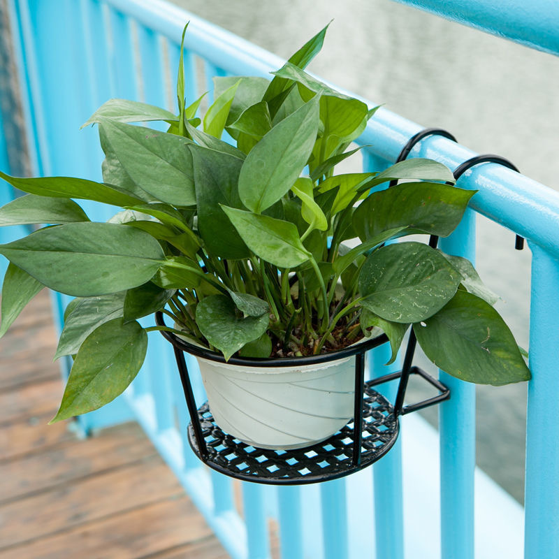 1PC Gardening Pots Outdoor Win - Bonsai Garden Art review and price